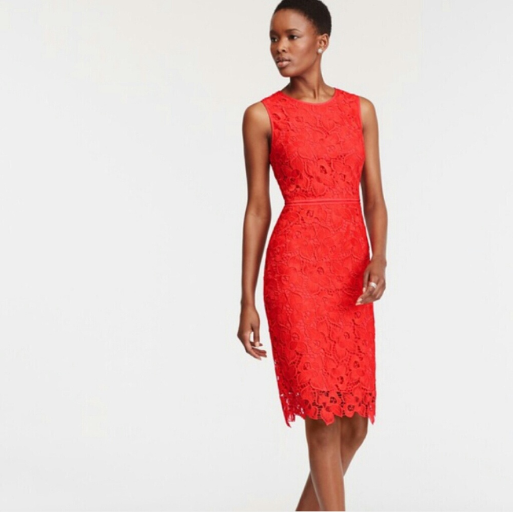 Ann Taylor red floral lace dress| size 2
